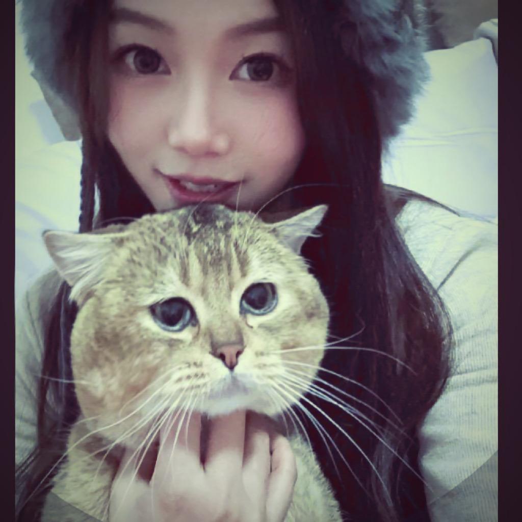 三只猫