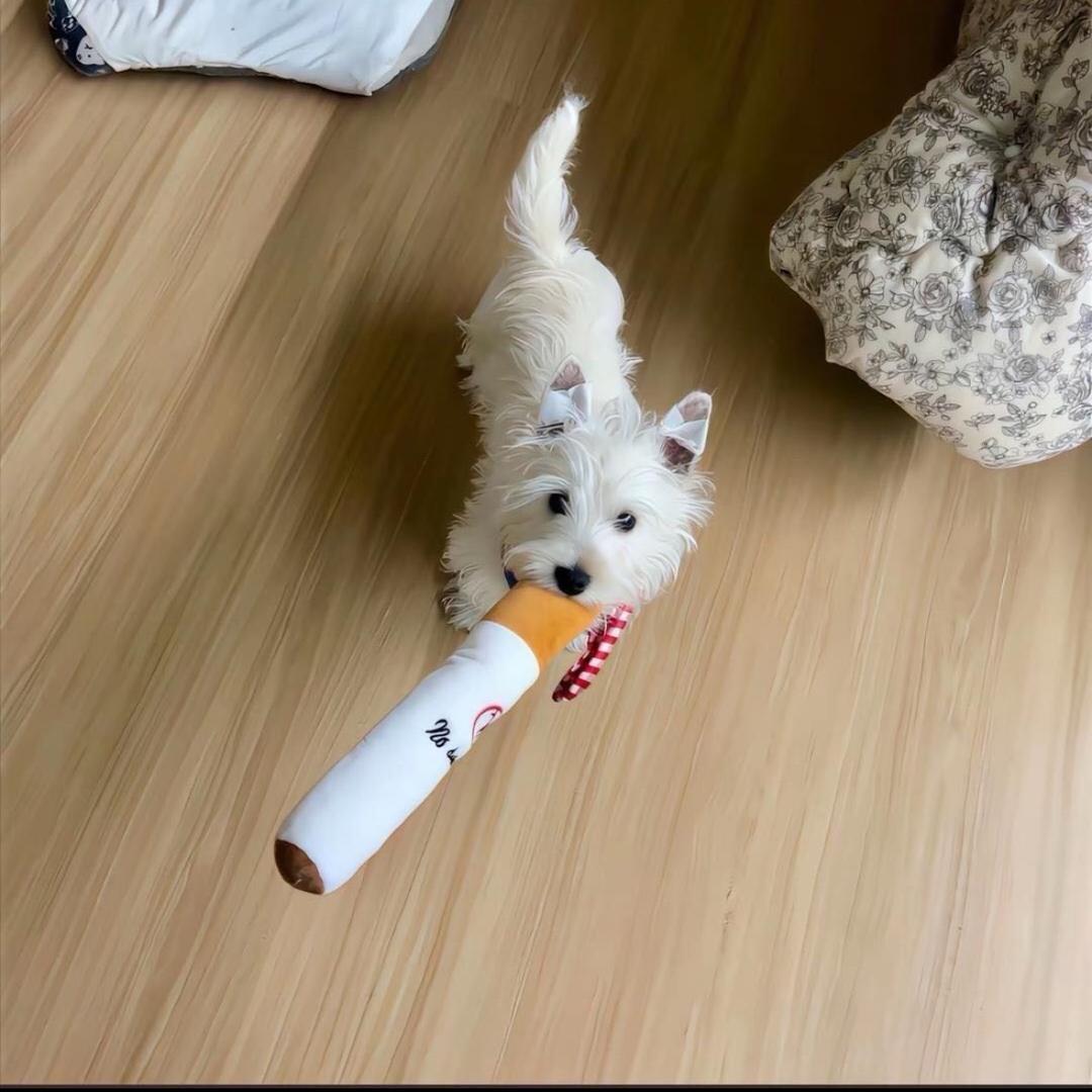 徐徐徐