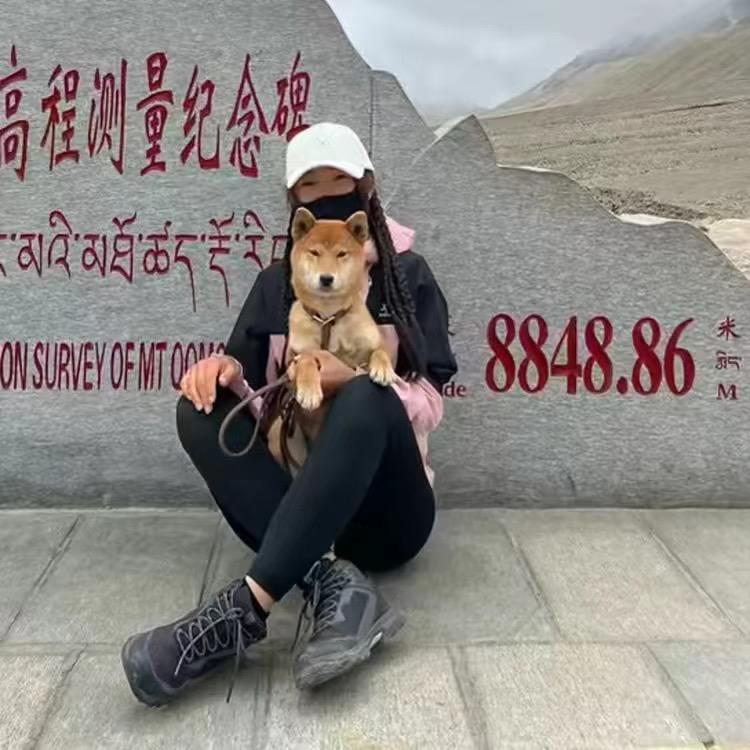 洋洋励志前行
