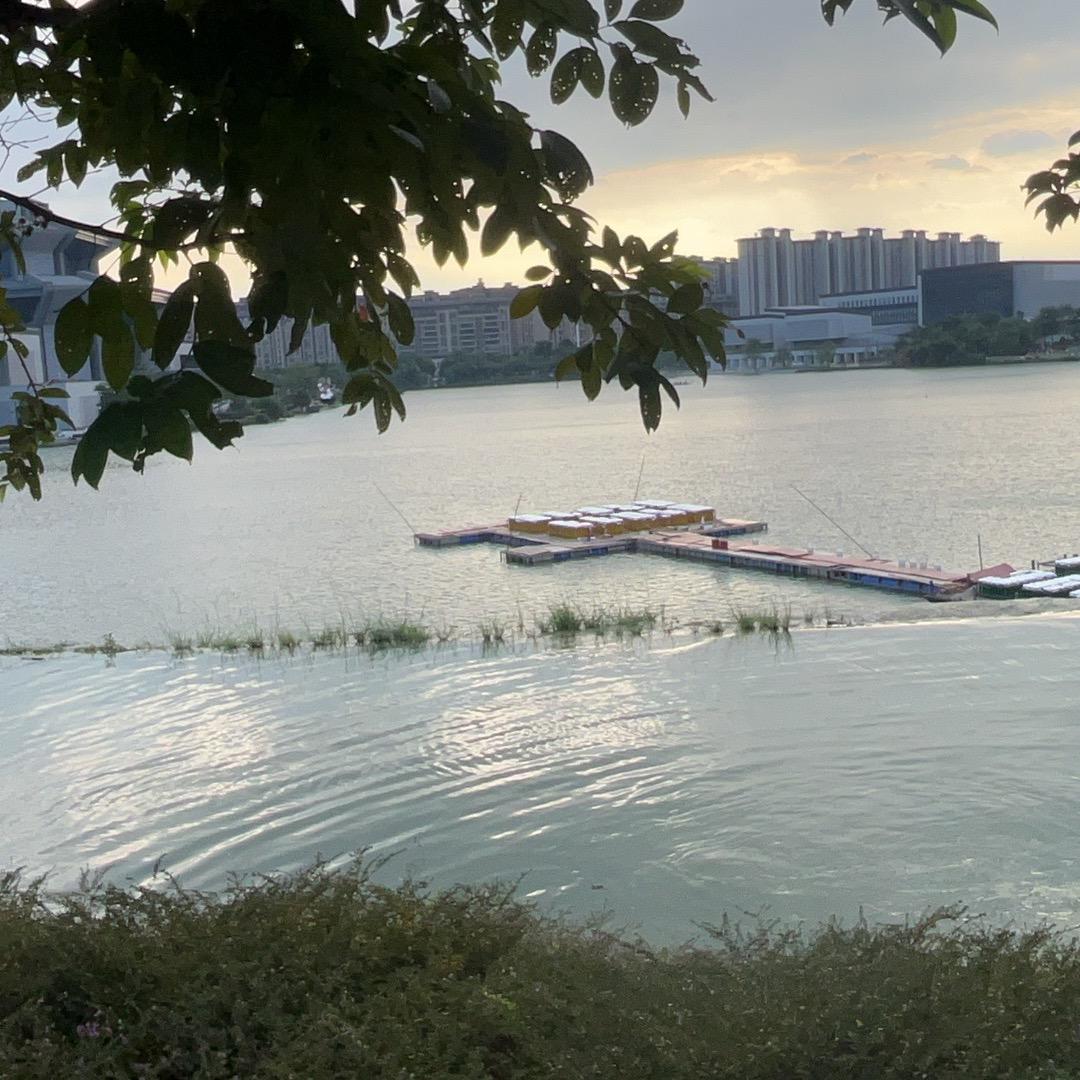 未来可期待