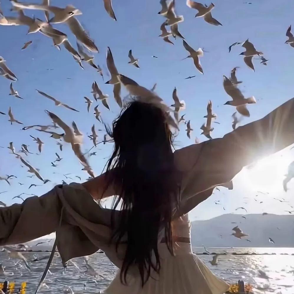 包头本地宣传服务（大管家）