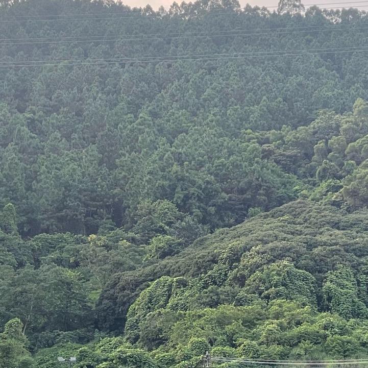 备用号