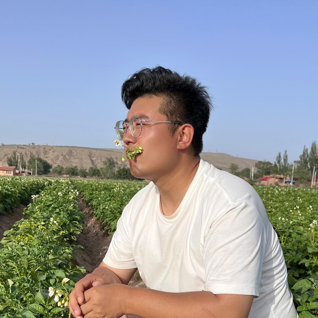 杨文在西北