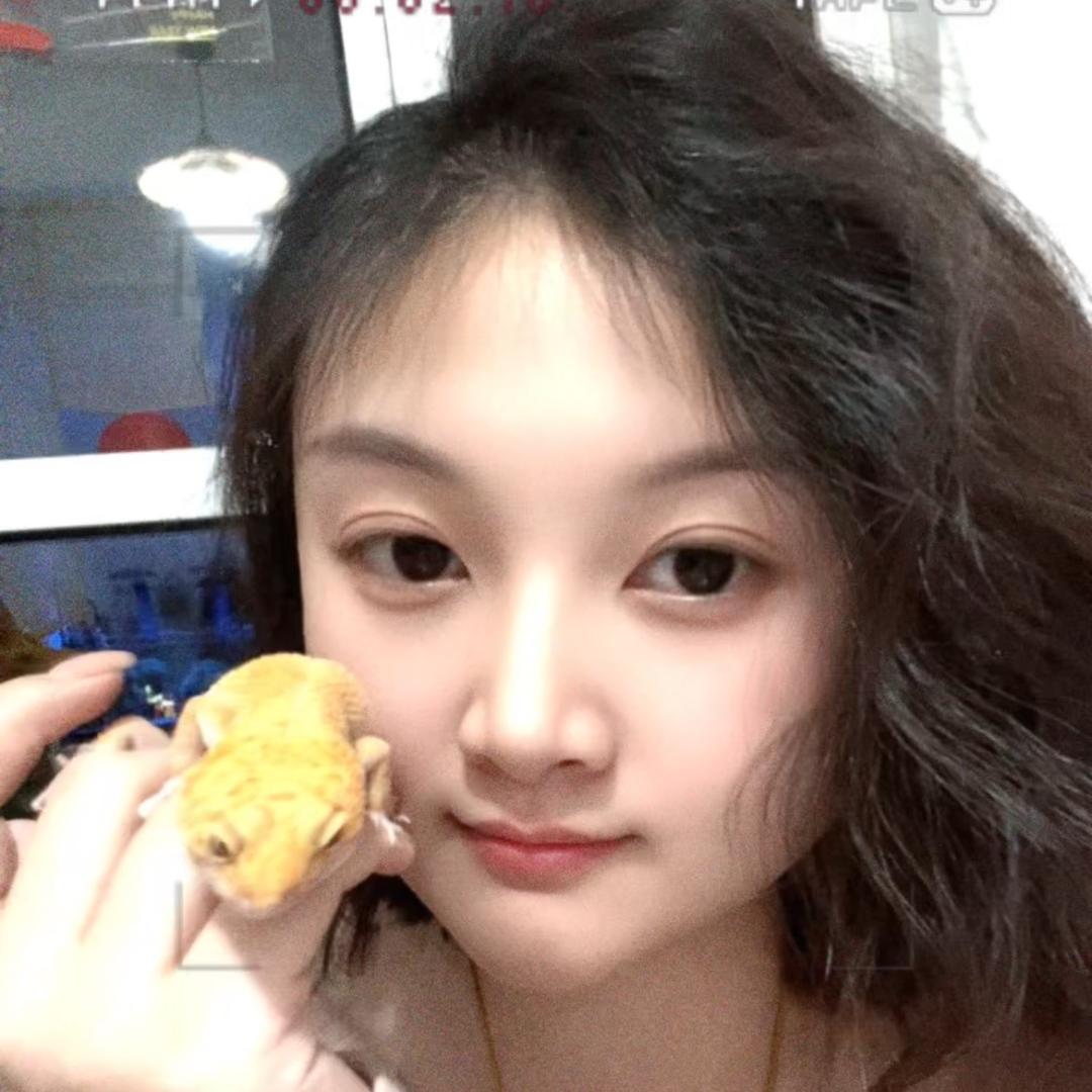 顽瞳