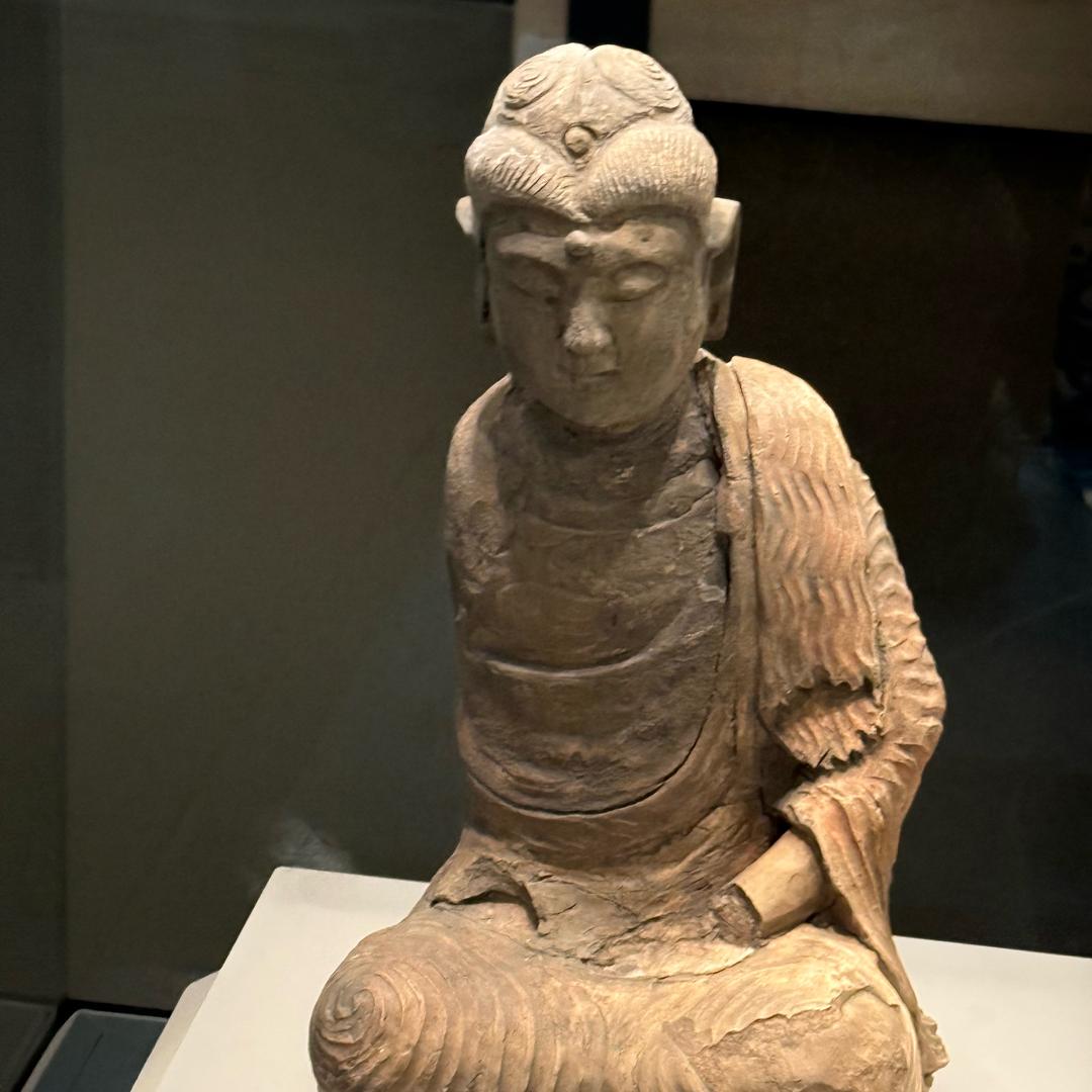 金老师好