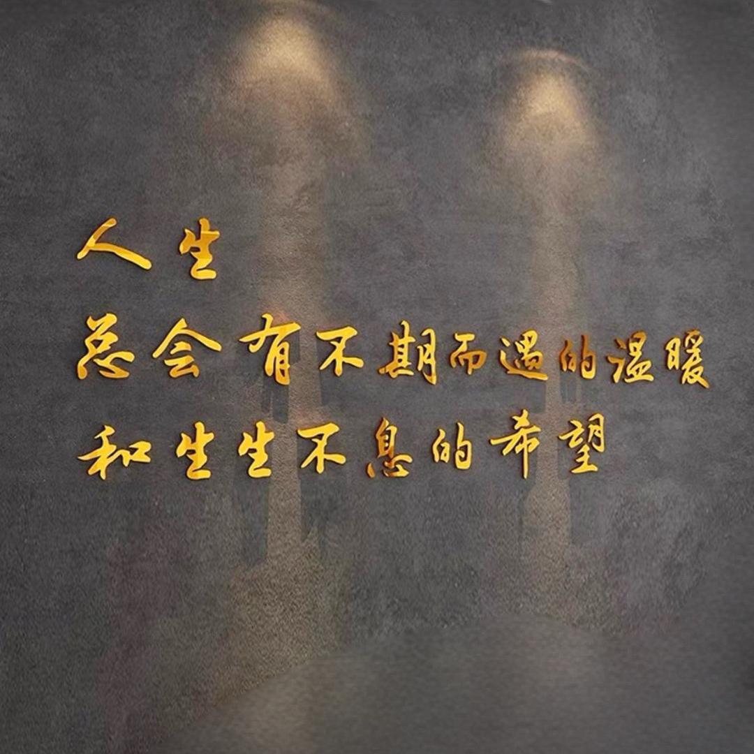 🌲努力前行