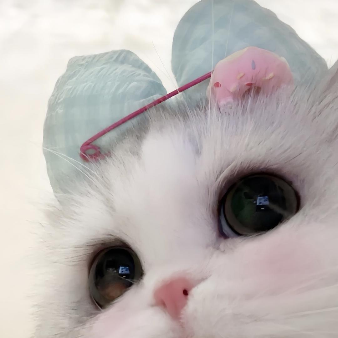 魚