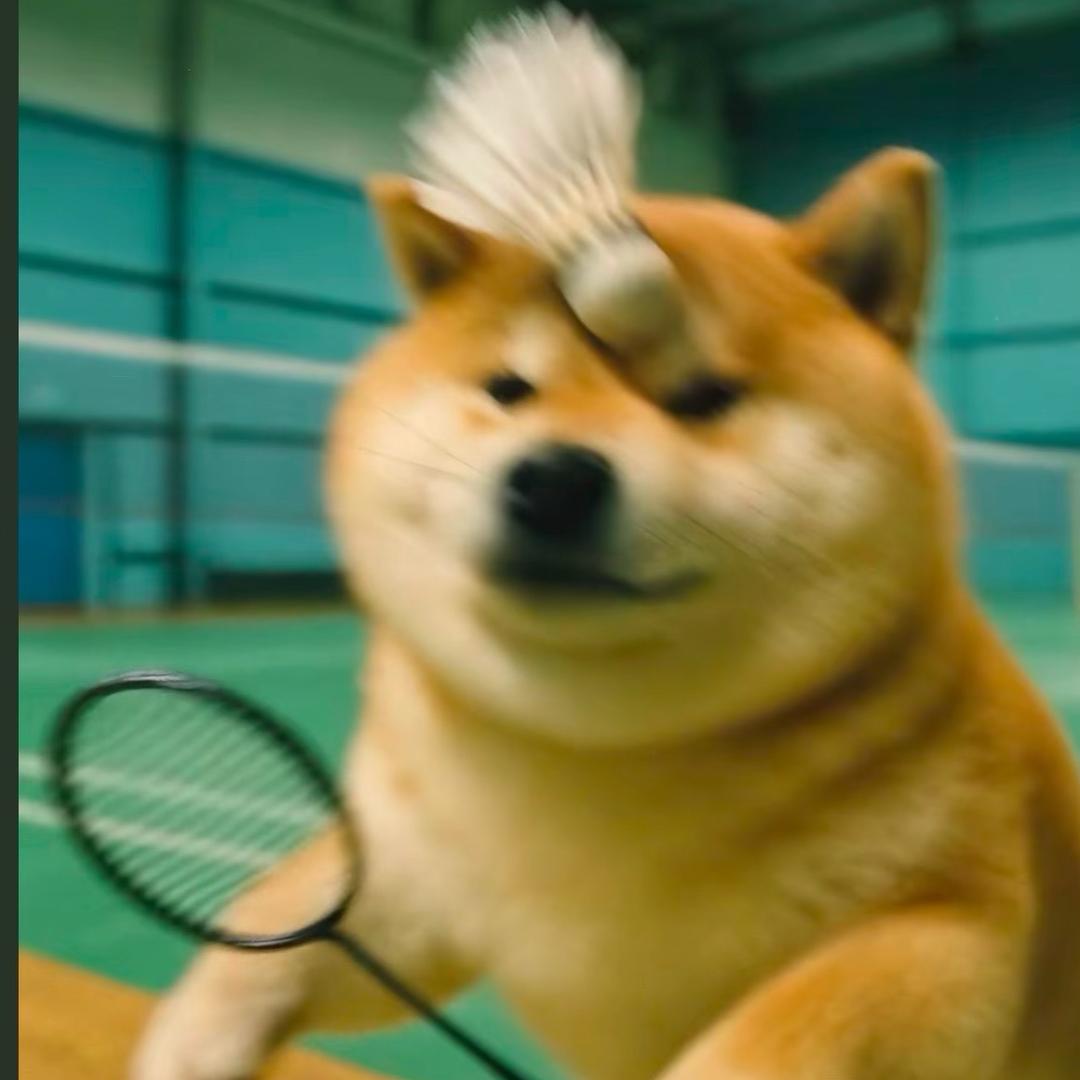 爱有万分之一甜