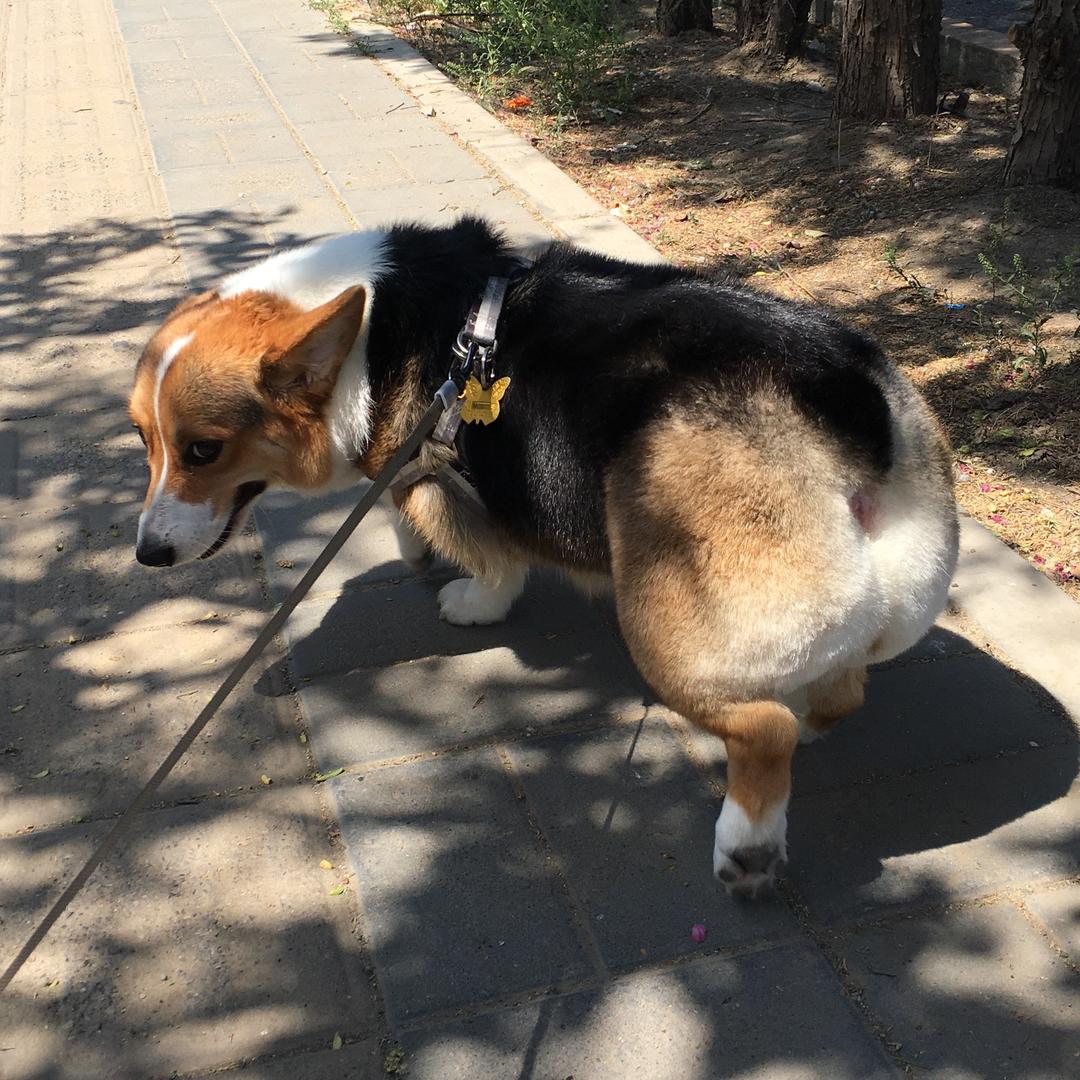 大春儿，，，头像