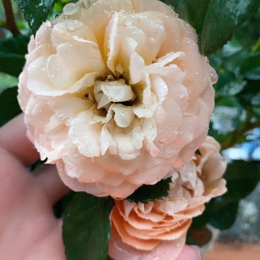 @故事刚刚开始🎵