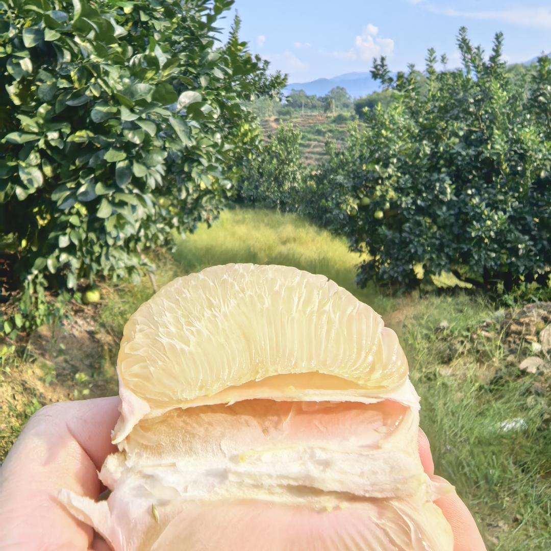 阿杜杜水果