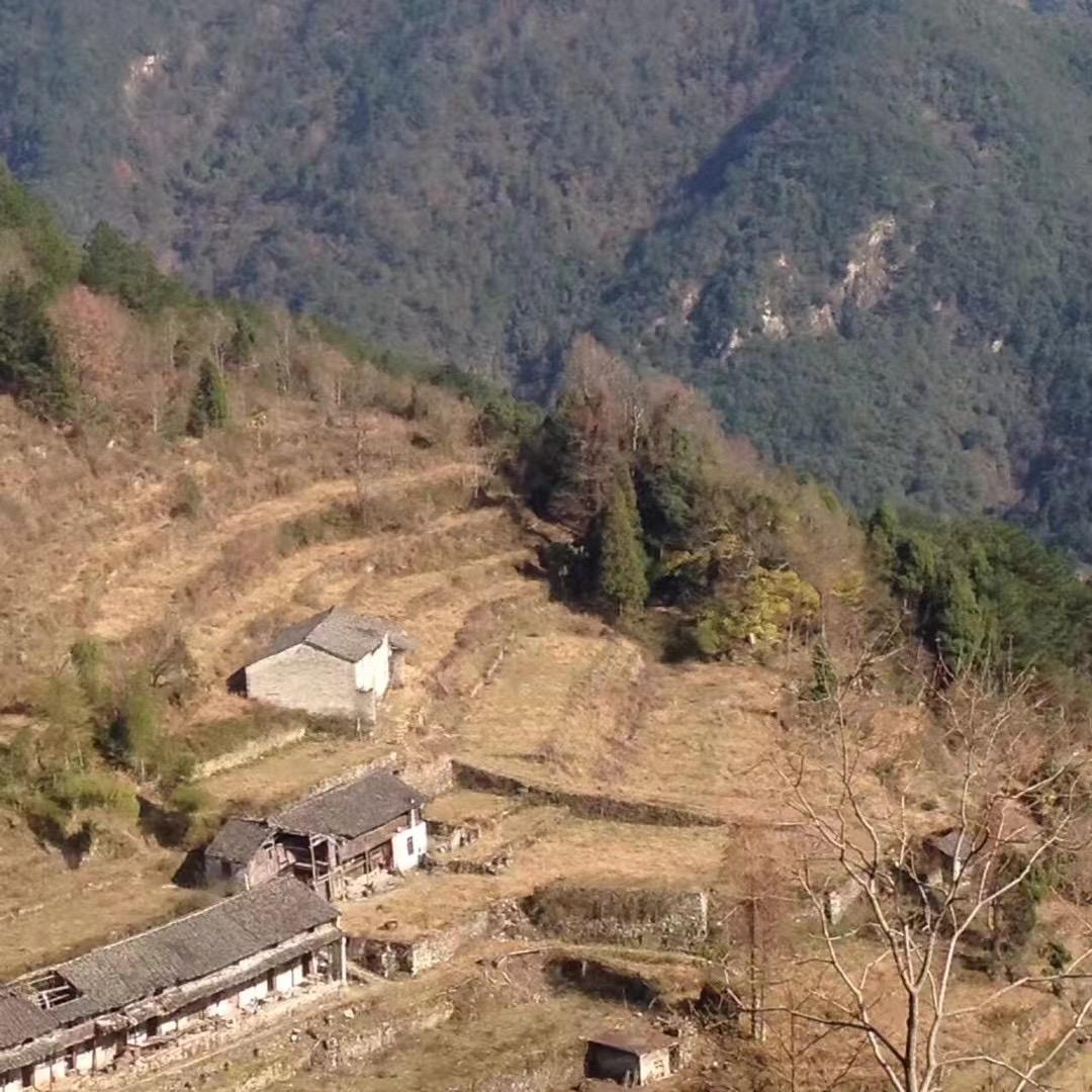 坠入山谷的月亮