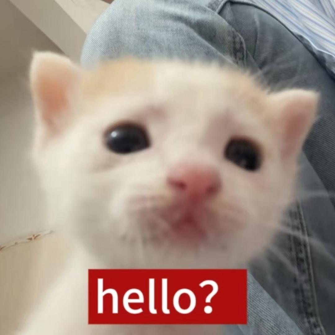 悲伤 Kitty 猫