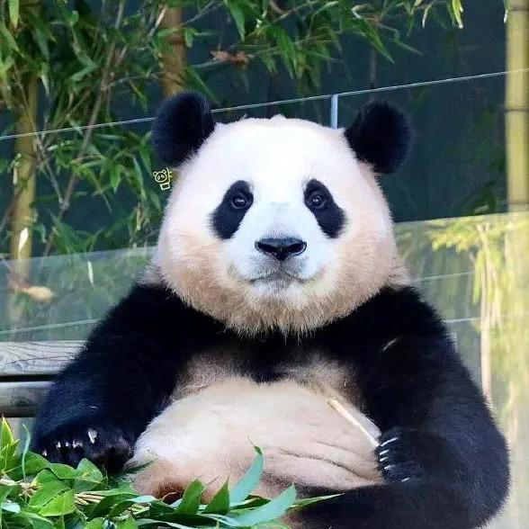 罗罗123