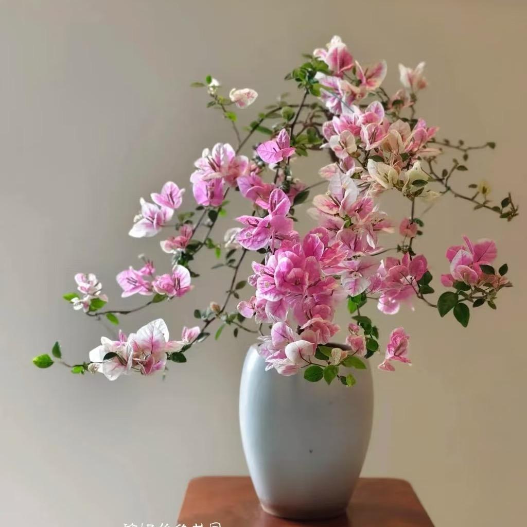 爱尚花卉