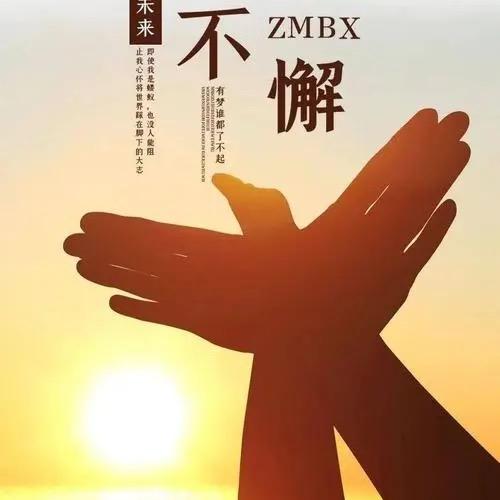武武体育