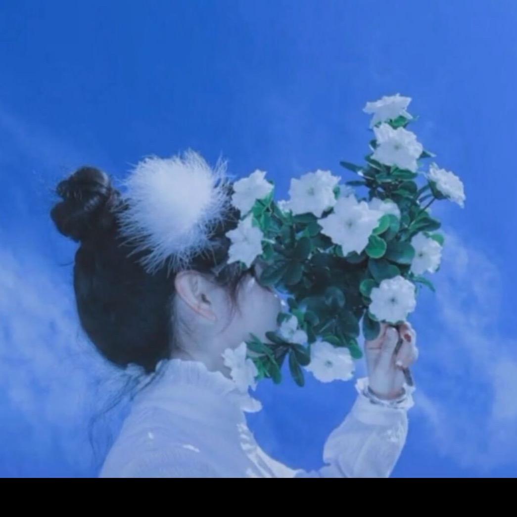 东芝冰洗推荐官-啊啦丁