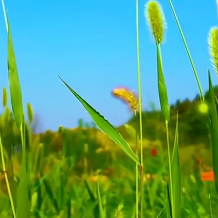 智慧-宁静