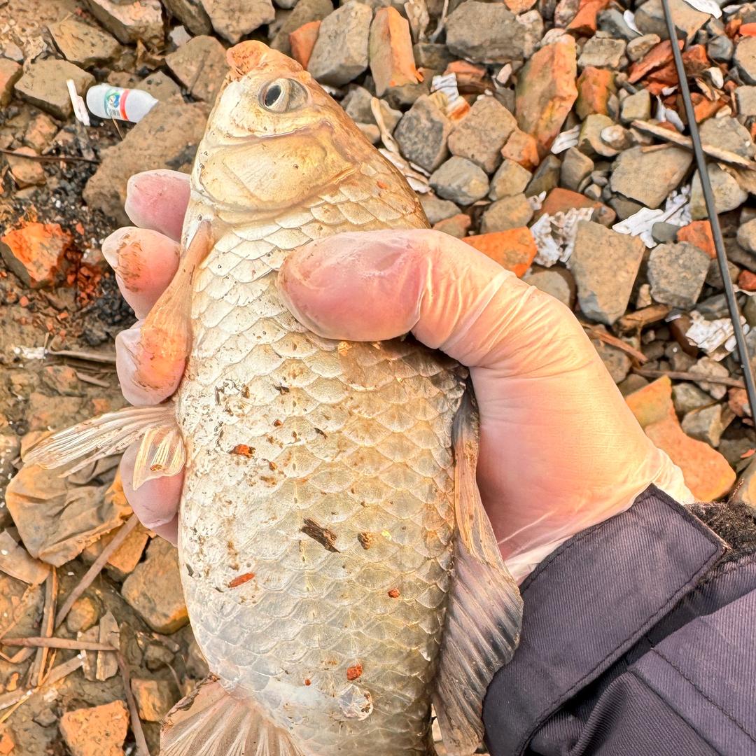 野钓仁哥(多多关注）
