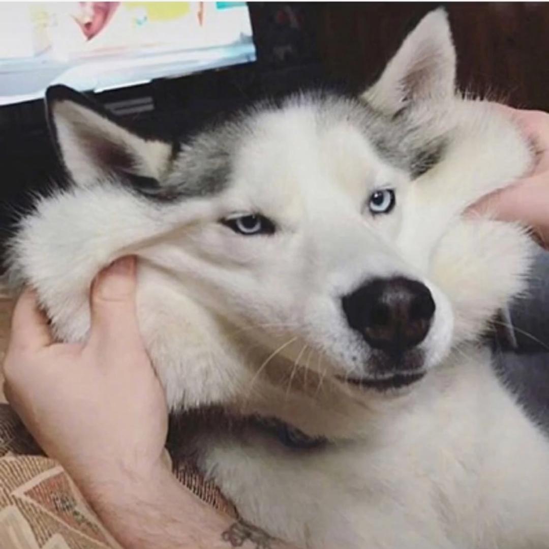 这碗面