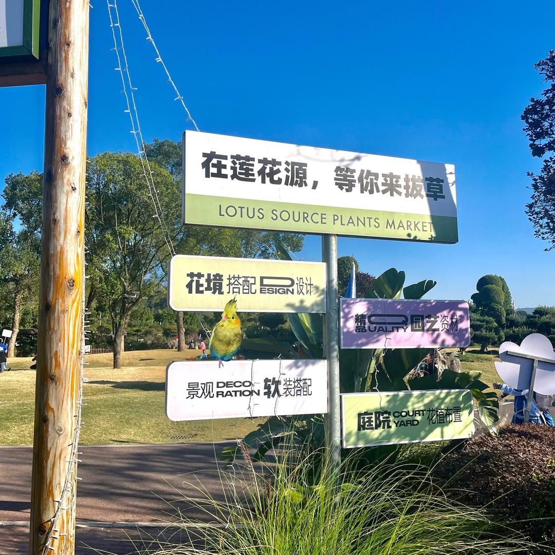 春秀（专场千古情刘三姐）