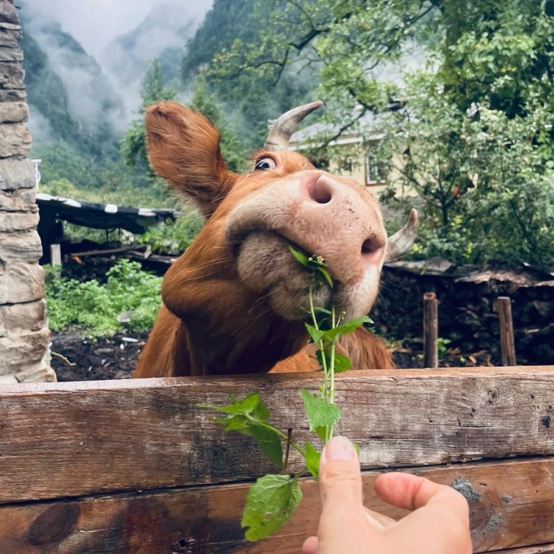 三每每