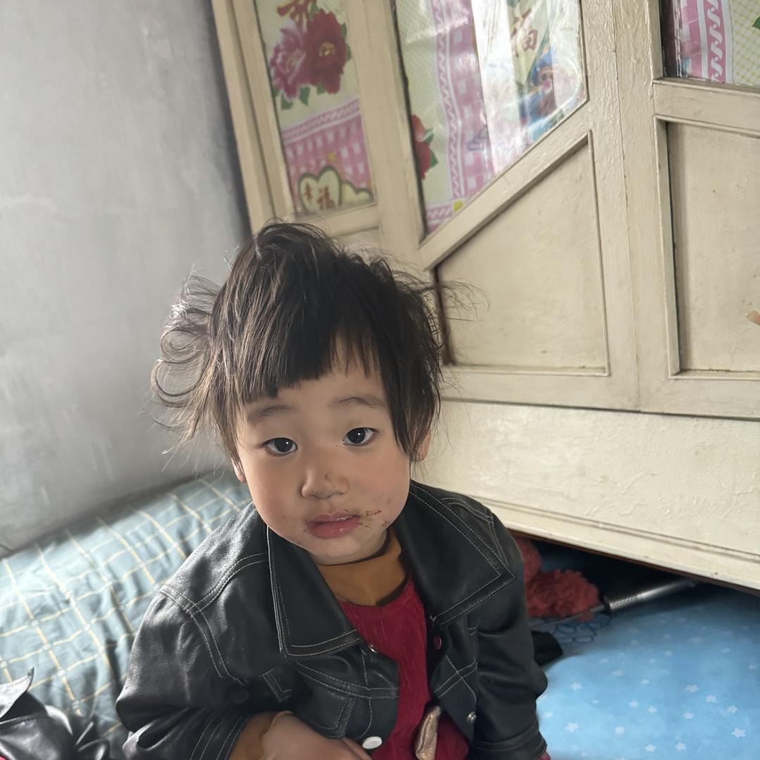 乡村李大胆