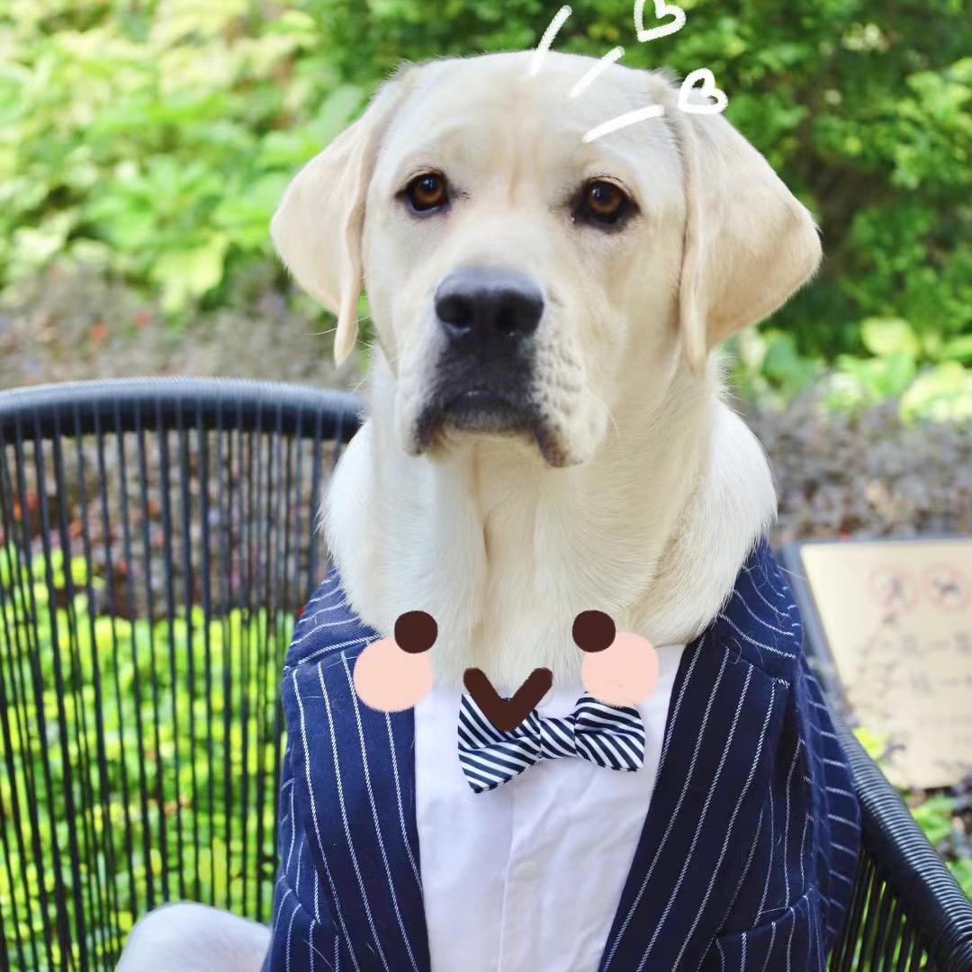 金宝的成长日记