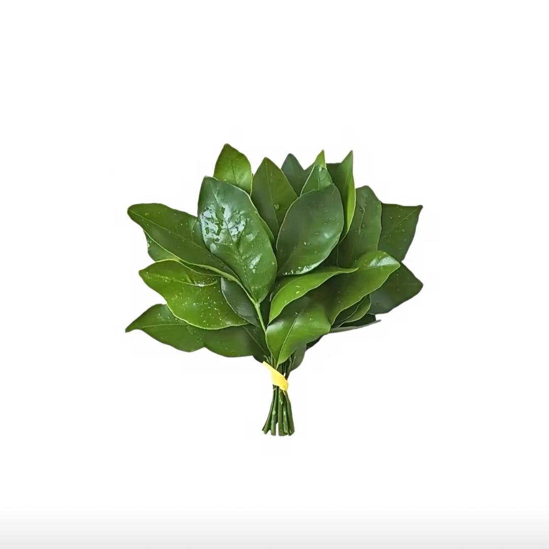 明天见.ᥫᩣ
