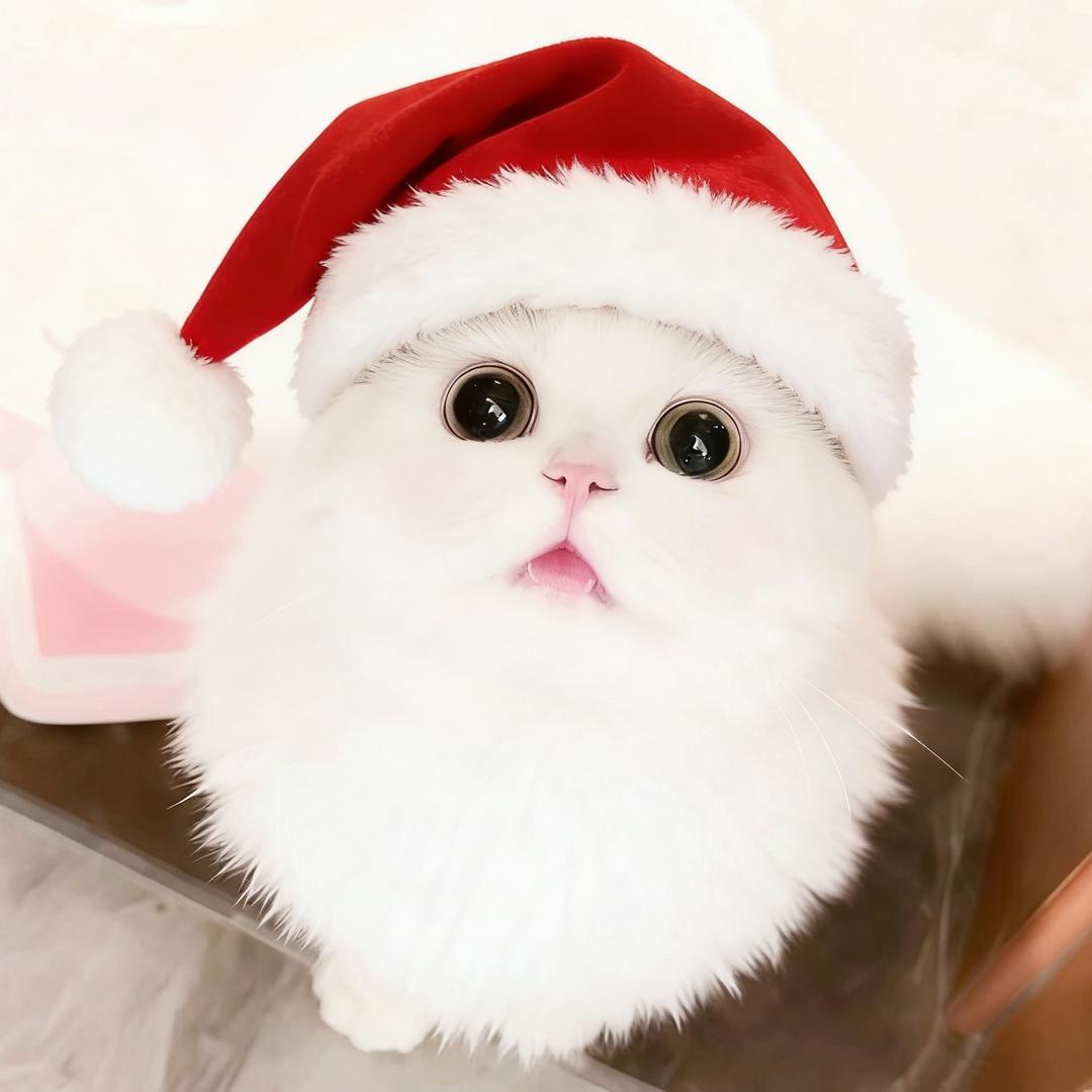 羊宝