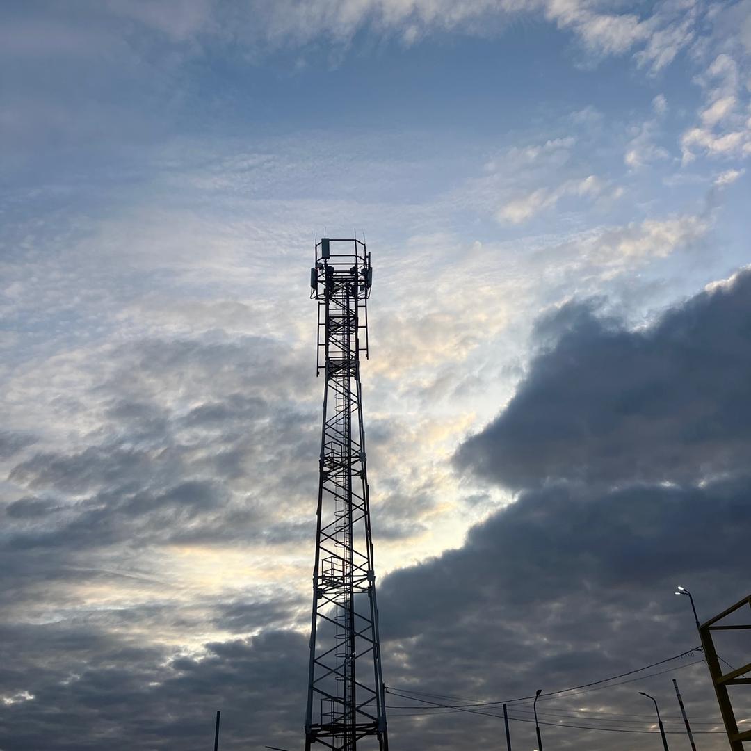 马儿要唱马儿歌