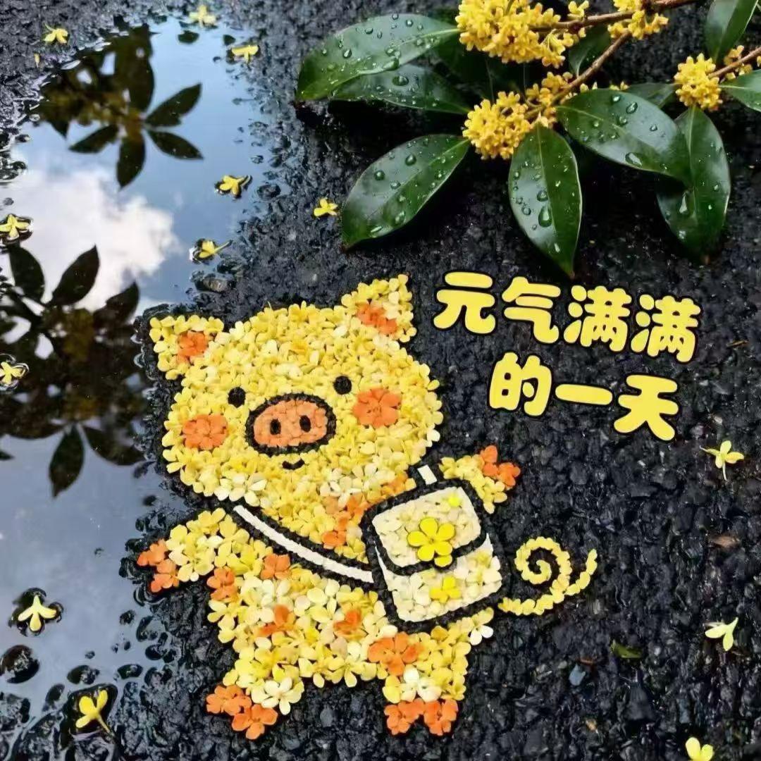 长沙萍萍