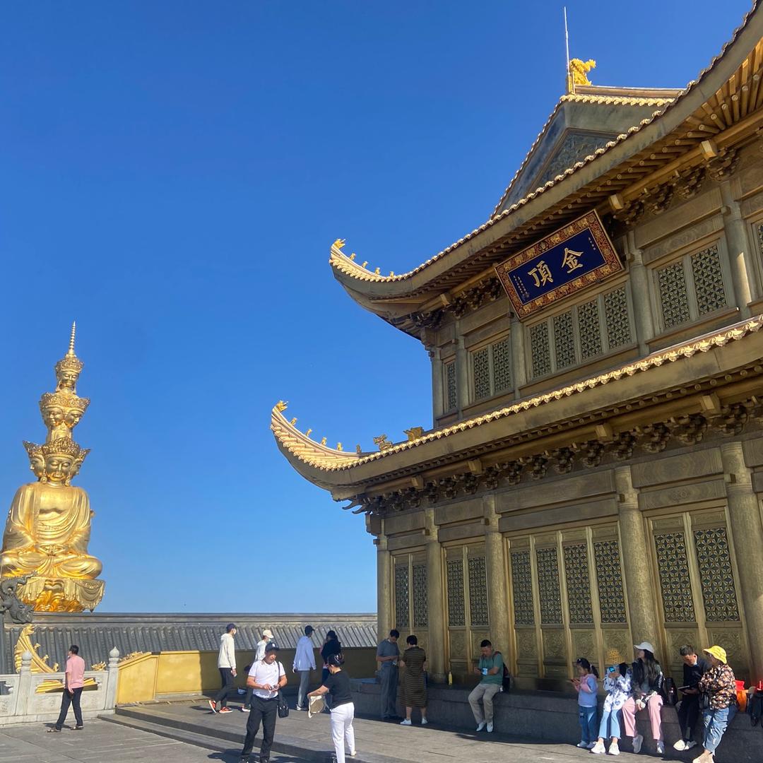 鑫海丰罗氏虾种苗