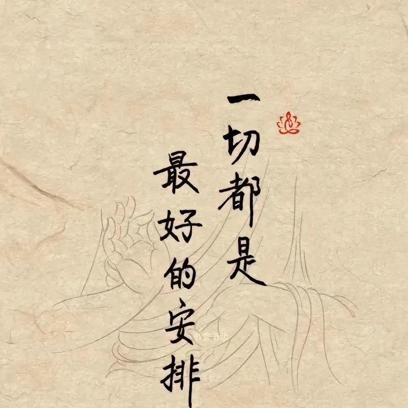 楠寻的藏品阁1号