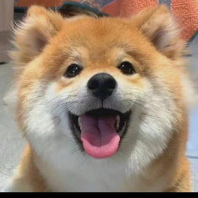 闰土🦴