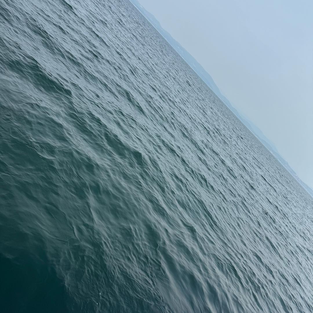 @@张楠