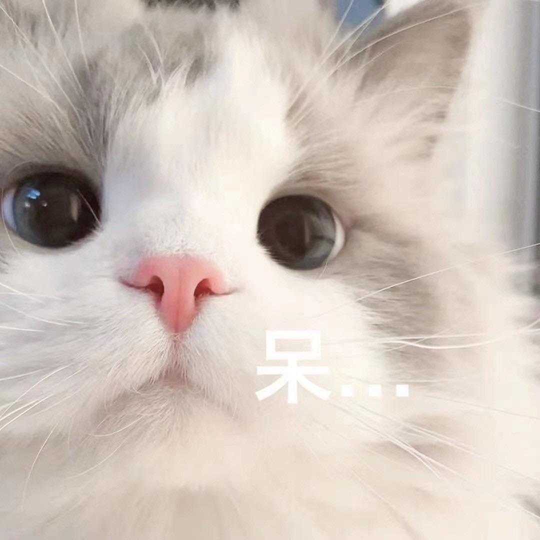 不吃甜筒