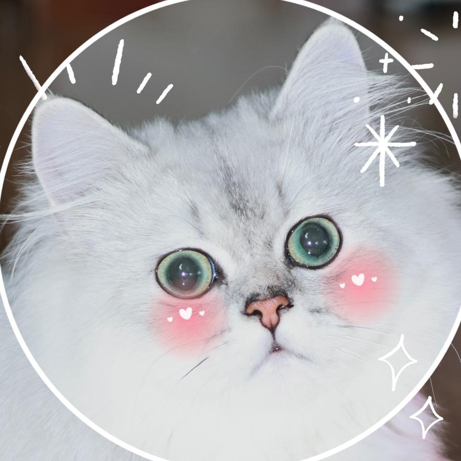 波比今天去哪儿