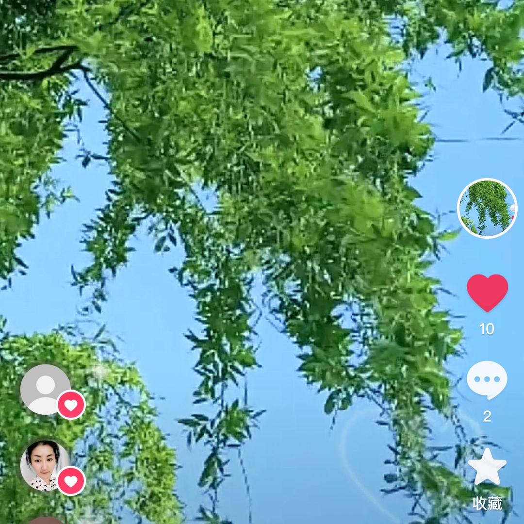 常青树(60后)爱🎷