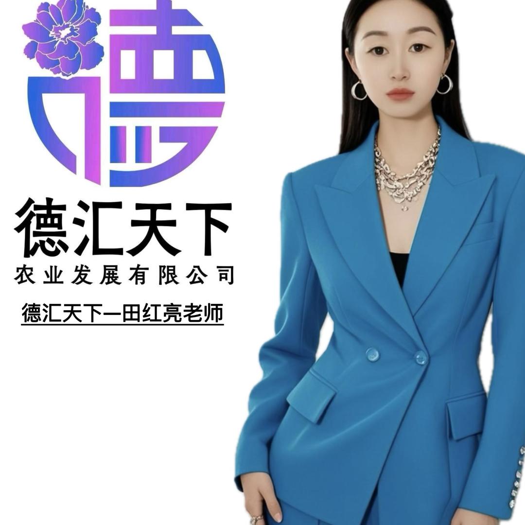 德汇天下田红亮