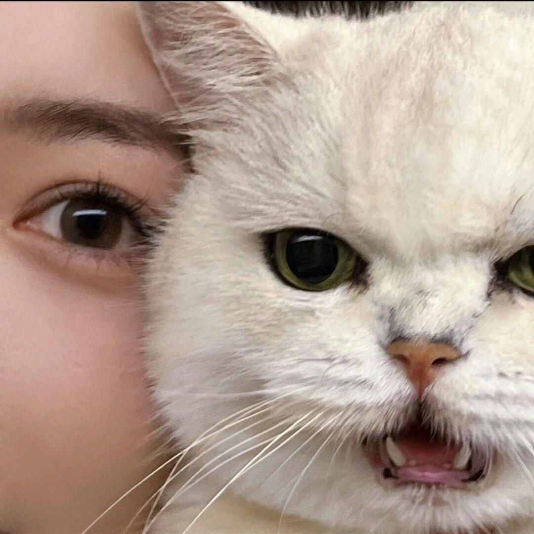 Y¥🍯