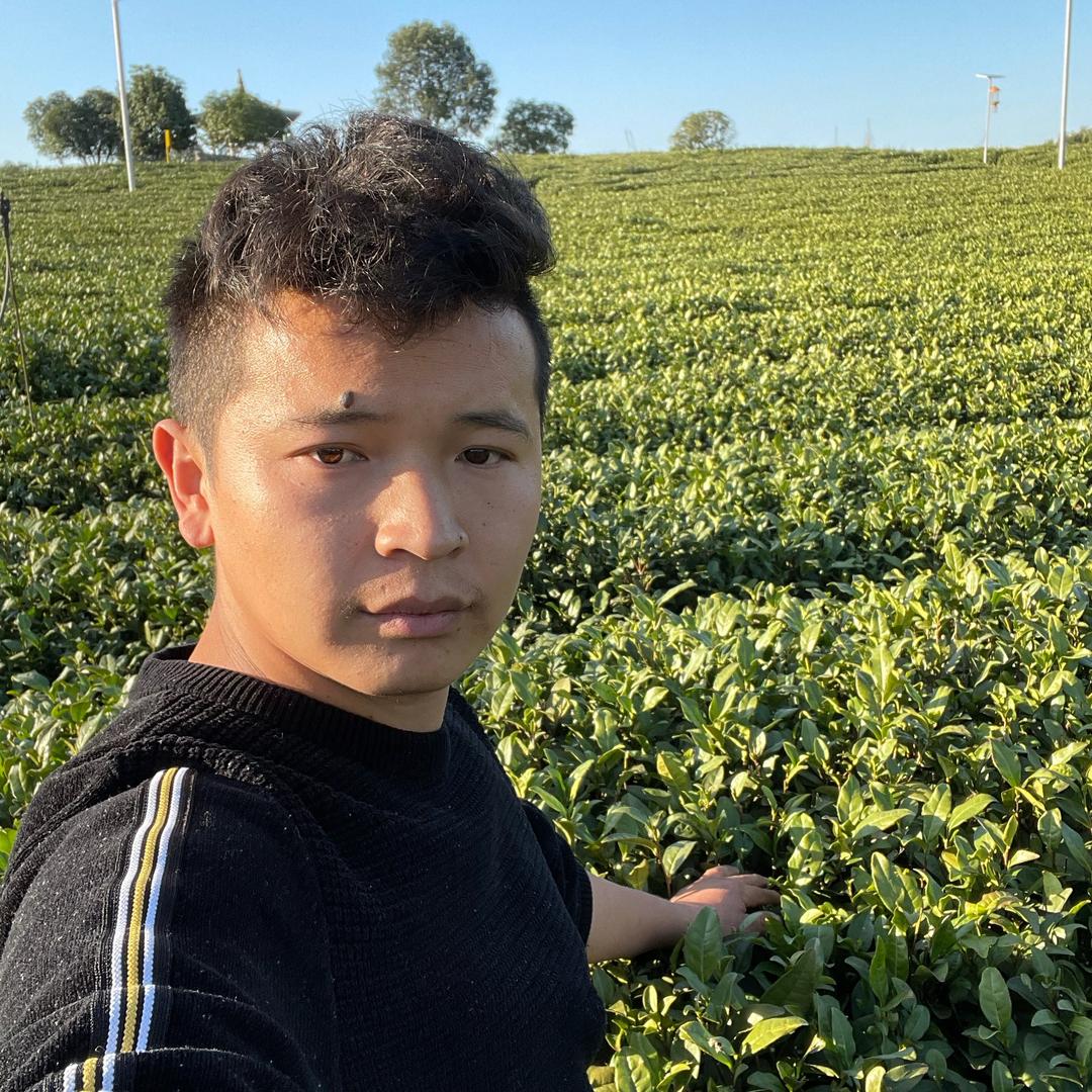 熊二水果经营部