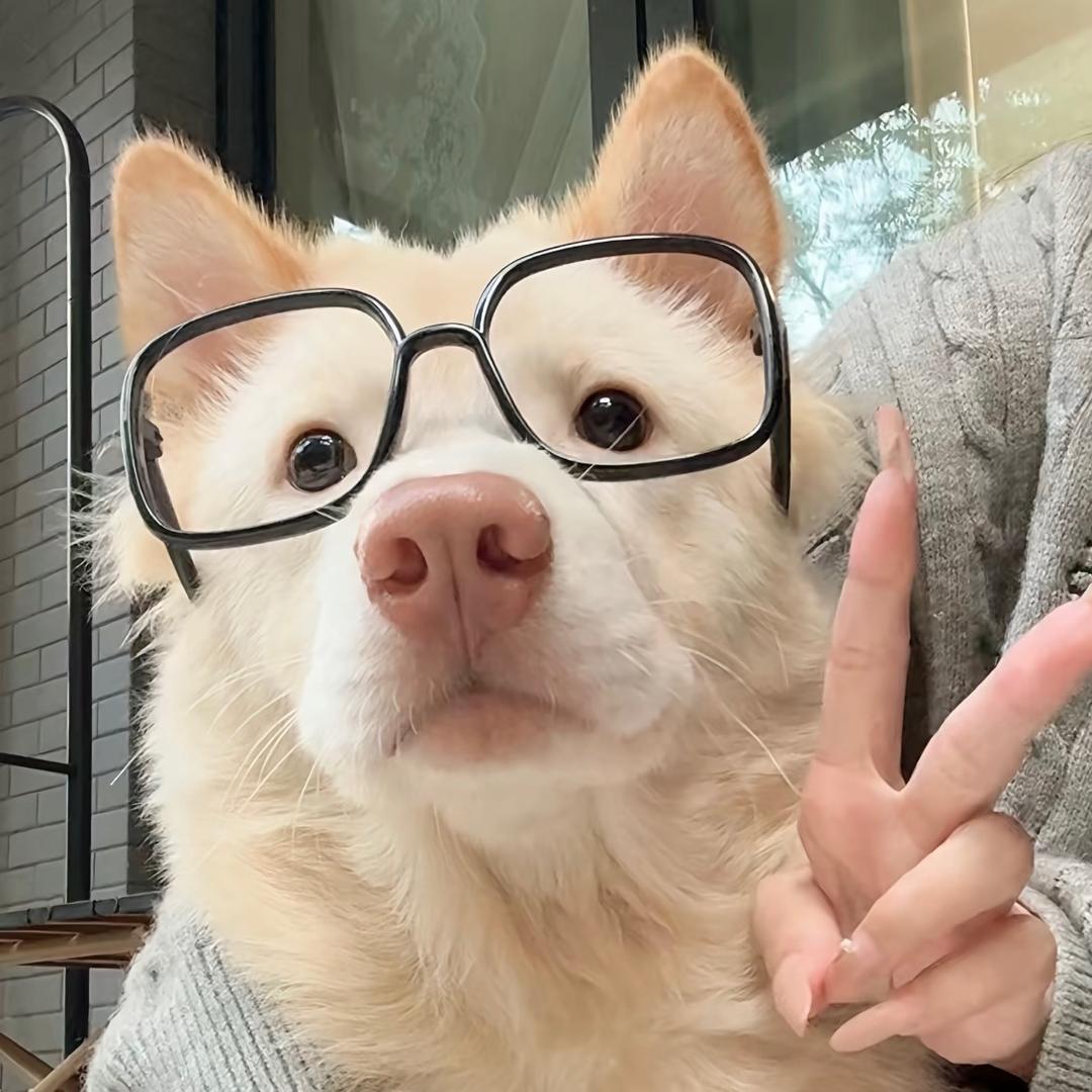 蓝色牛仔裤味的辣片