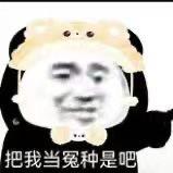 重生之我在网络摆烂