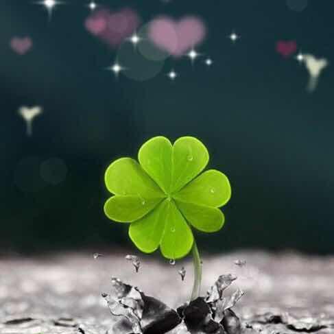 🍀～