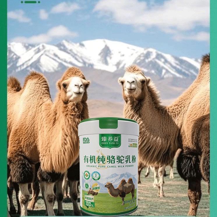 新疆原产正宗骆驼奶粉店