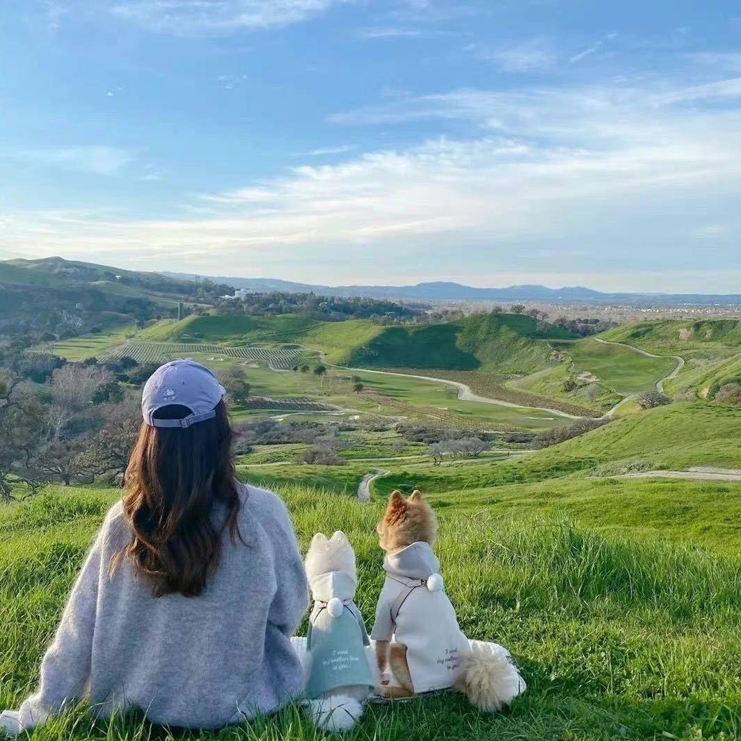 创星专业拉丁舞官方号