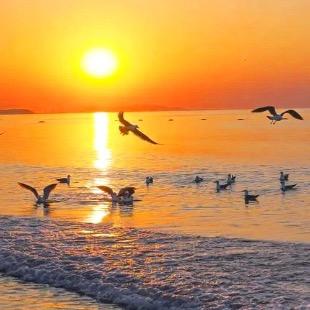 威海～那香海的两室一厅一厨一卫豪华民宿