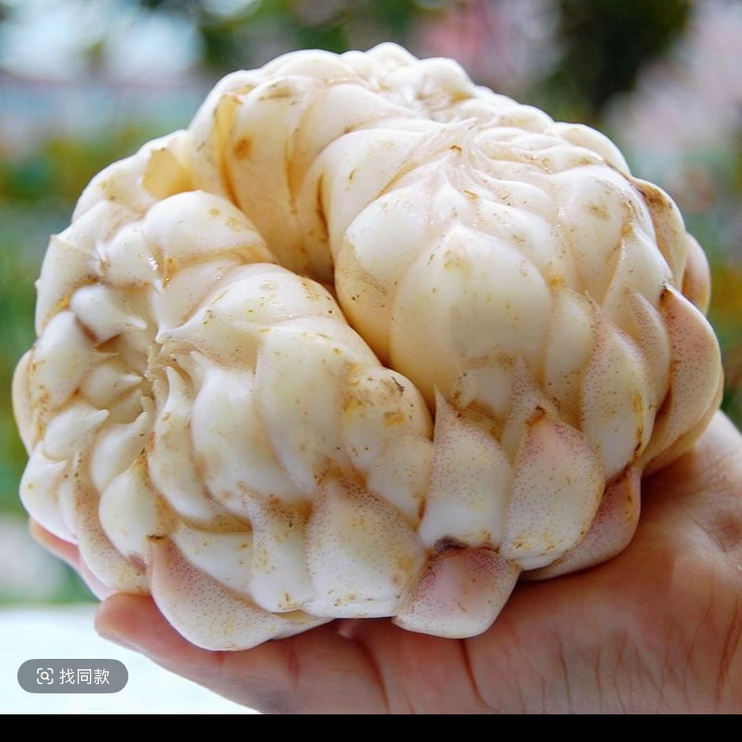 柠檬爱成2️⃣