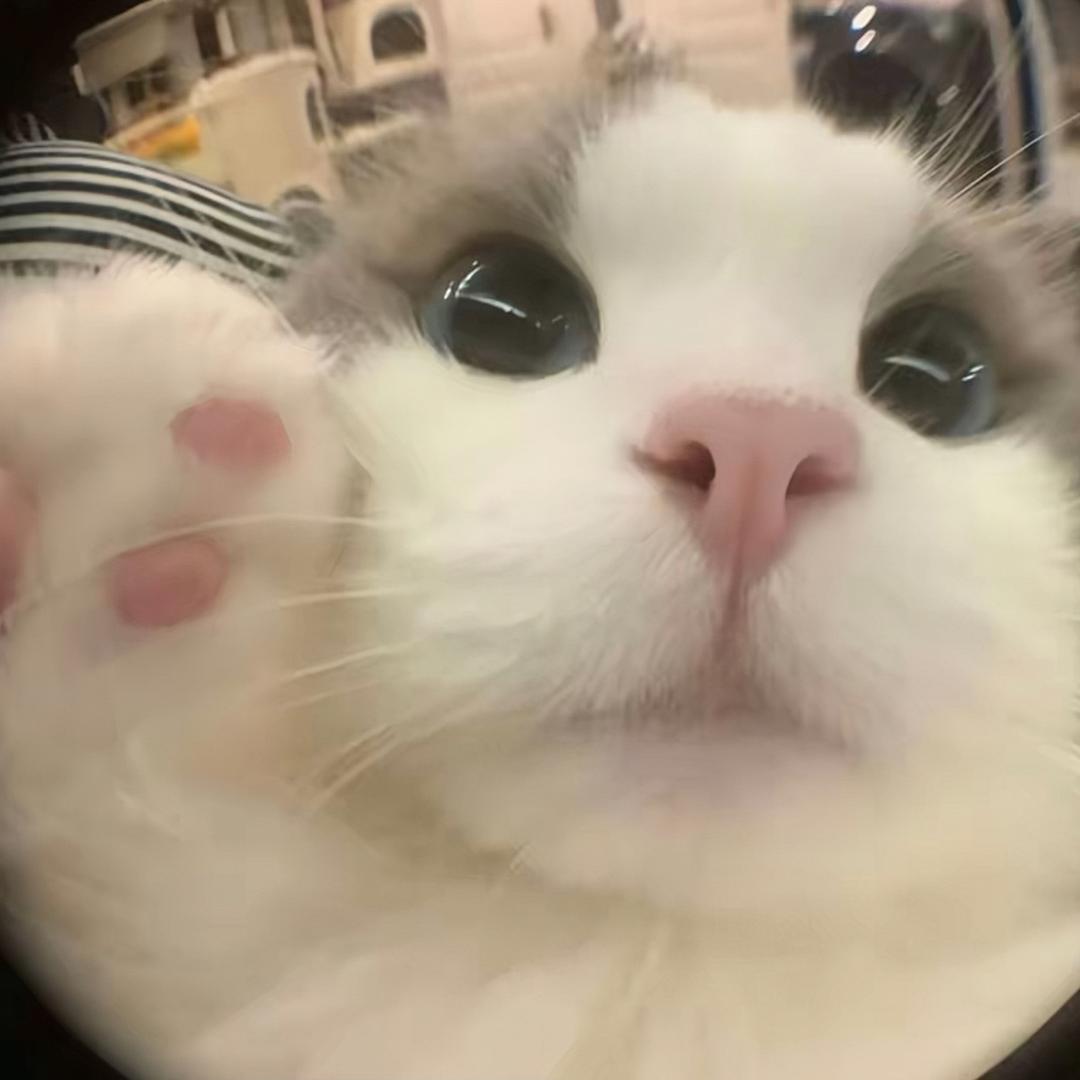 柿酱